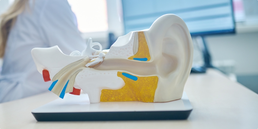 Mountain Ear, Nose and Throat Associates, P.A. Blog